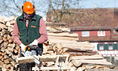 Motoseghe per il taglio di legna e cura del verde